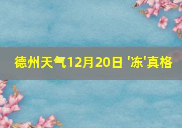 德州天气12月20日 '冻'真格